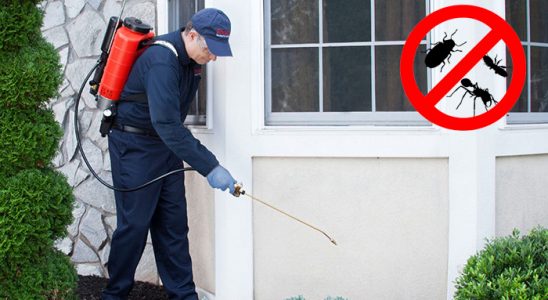 Tokat Böcek ve Haşere İlaçlama böcek ilaçlama ve haşere kontrolü — ilaclama-tr.com